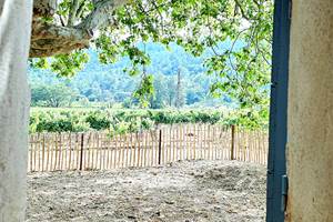 VUE PAR LA FENETRE SALON