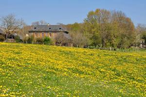 Gîte n°19G1117 "Gîte des papous" – SAINT JAL