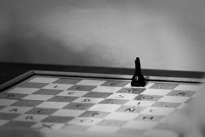IMG_2440t