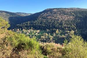 Gite-de-groupe-alsace-vosges-chalet-champ-du-feu
