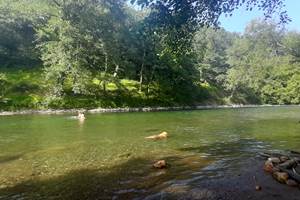 Baignade dans la Garonne