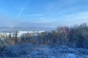 Vue depuis le salon