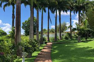 A-l-ombre-des-palmiers-royaux-jardin-l'or-des-caraibes
