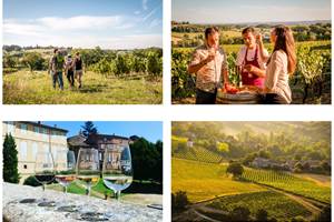 Vignobles Gaillac
