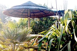 Parasol-place-web