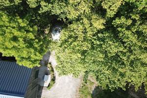 le-nid-des-hirondelles-cabane-dans-les-arbres-vue-du-dessus-par-drone