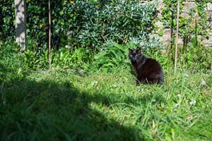 chambre-hotes-riec-sur-belon-finistere-sud-bretagne-cornouailles-bed-and-breakfast-visite-pont-aven-sentier-cotier-randonnée-jardin-centre-bourg