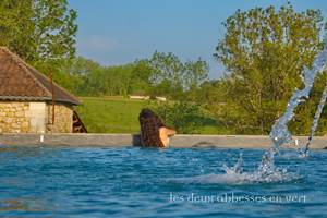 Piscine Chauffée 4 x 14 m / Volet roulant Immergé / Deux Cascades massantes
