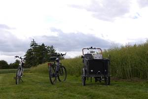 vélos électriques