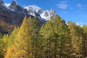 Couleurs de l'automne en Clarée.