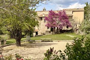 Le terrain de pétanque