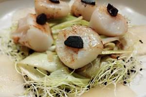 Noix de Saint-Jacques à l'ail noir sur effiloché de poireaux confits