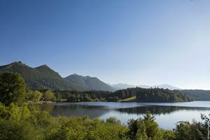 Le Clos Fleuri - Lac de Lourdes