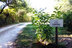 Chemin d'accès du camping