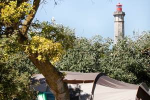 emplacement tente camping les baleines