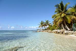 Les jardins des Balisiers Plage de Bois Jolan sainte anne