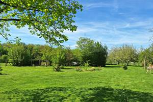 Cheve^che Vue fene^tre du se´jour   20240413_151439
