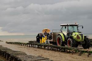 Visite de Parcs à huîtres en Tracteur