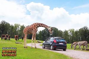 Évasion nature et safari en famille Un tour du monde animal à quelques minutes du gîte.