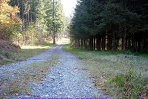 Que de belles promenades en perspective