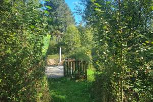 Cabane (8)