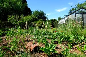 le Jardin nourricier et la serre