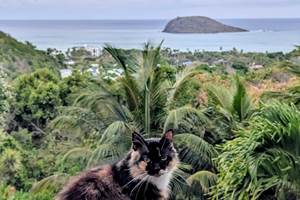 2426b38c-fc54-4d2f-9b05-eed1f897c9a9