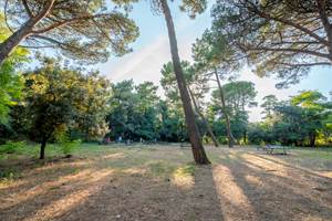 2024.08.28 Les Fouge`res - Lifestyle - WEB-7401326