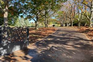 grand-gite_parc_feuilles-automne