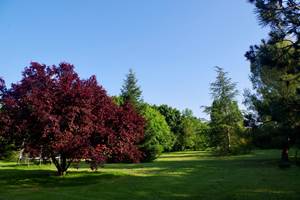 DA3BE276-3429-4C90-814D-D0AAB3F46D02_1_105_c