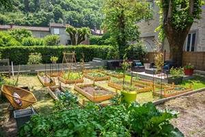 potager