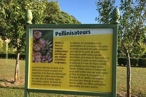 EXPOSITION SUR LA POLLINISATION DANS LES VERGERS