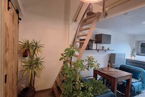 Salon-122024)