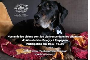 chiens