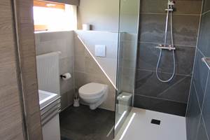 Salle de bain avec douche, lavabo et WC