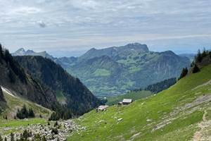 Randonnée proche du studio - vue sur le Moléson depuis Bounavaux