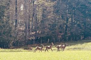 gite_correze_pierres_confort-nature