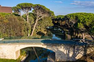 Canal du midi et ses pins parasols prés de l'embouchure du canal de jonction