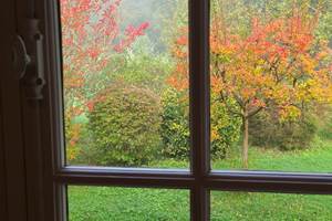 Automne