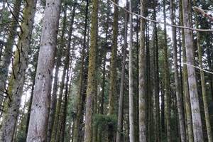 IMG-20260116-WA0010
