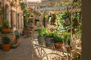 IMG_2021 - Grande