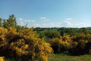 camping-la-perle-creuse-les genets