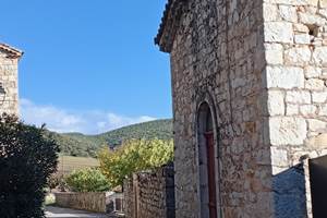 IMG_20251023_163502