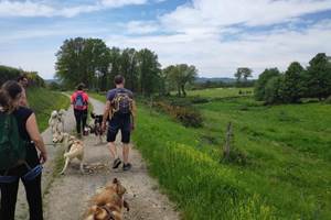 Cani Rando Husk'in Creuse