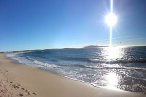 facebook_1739803222900_7297263617023384500