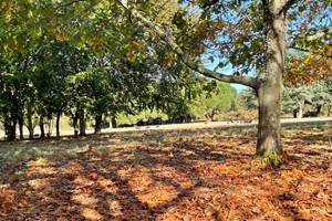 maison-vacances_bretagnesud_morbihan_nature_parc