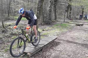 57308580_576085259541931_3203819940939300864_n