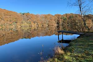 Les terres de la chouette, lac de Sainte-Hélène, en automne