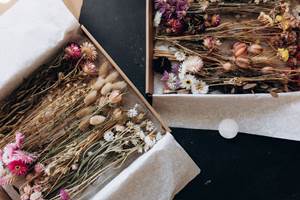 coffrets-fleurs-sechees-francaises-terralya