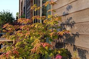 IMG_20250613_203342